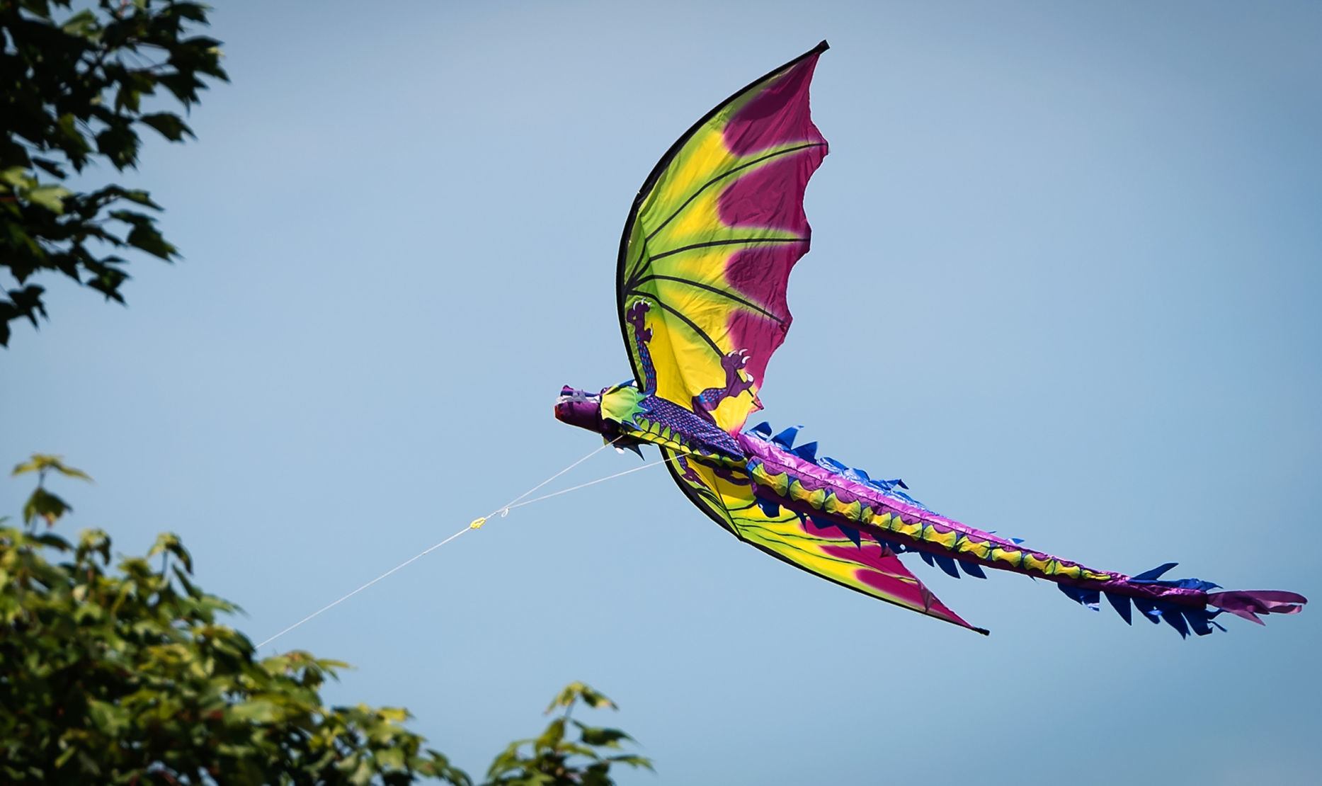 Winston-Salem Inaugural Flight Festival